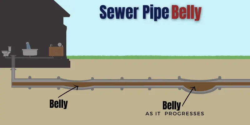 Red-Deer-Sewer-Line-Belly-