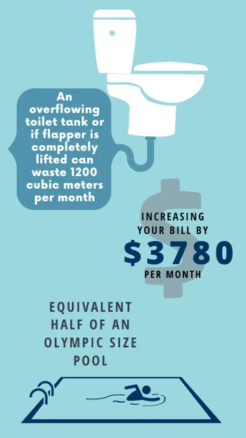 water-waste-overflowing-toilet-Edmonton