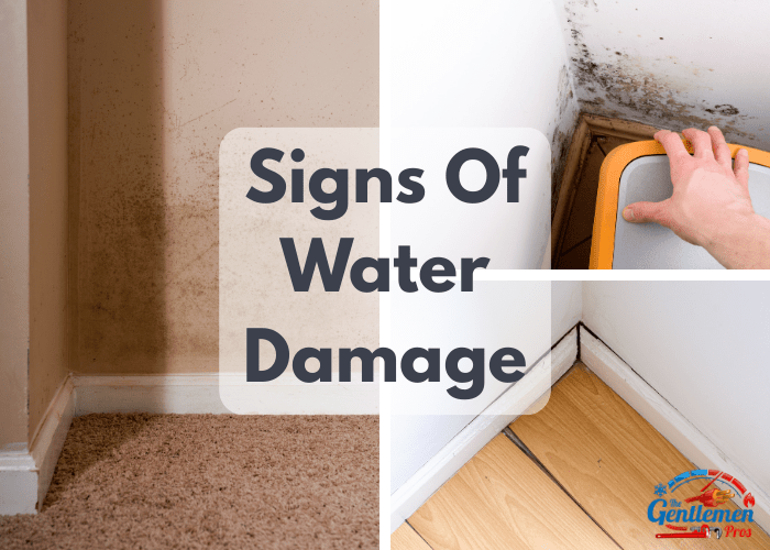 signs of water damage