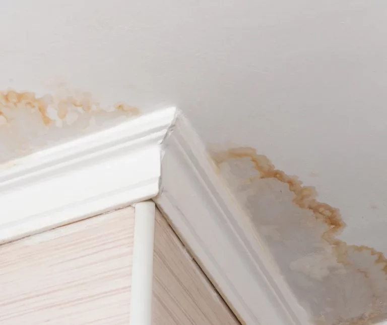 ceiling-damage