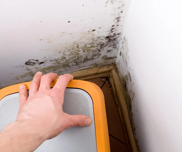 mold-water-damage