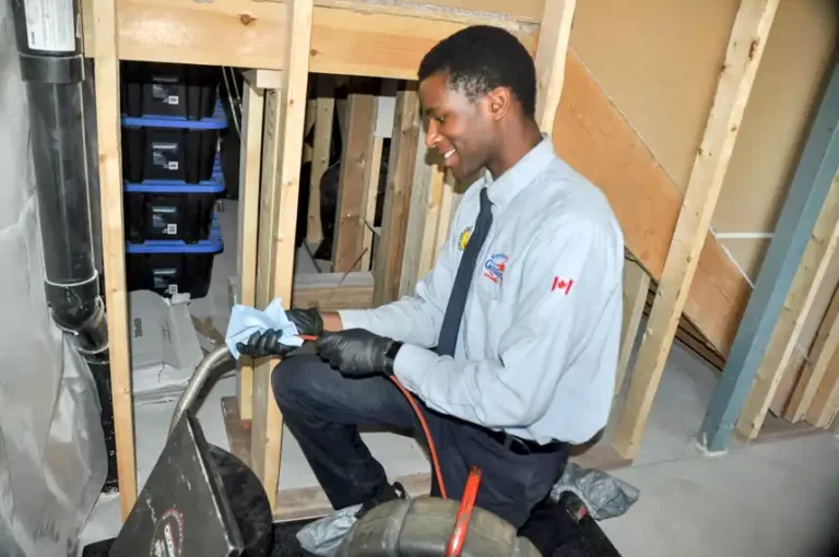 Drain Inspection