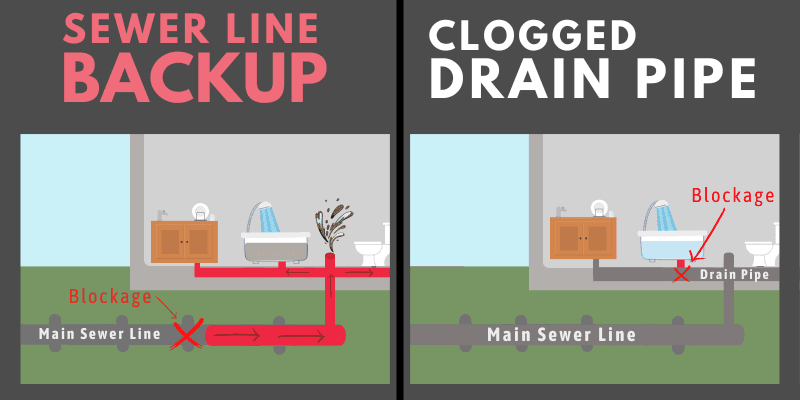 sewer backup