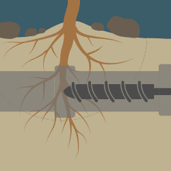 Auger Sewer Pipes with Root Growth