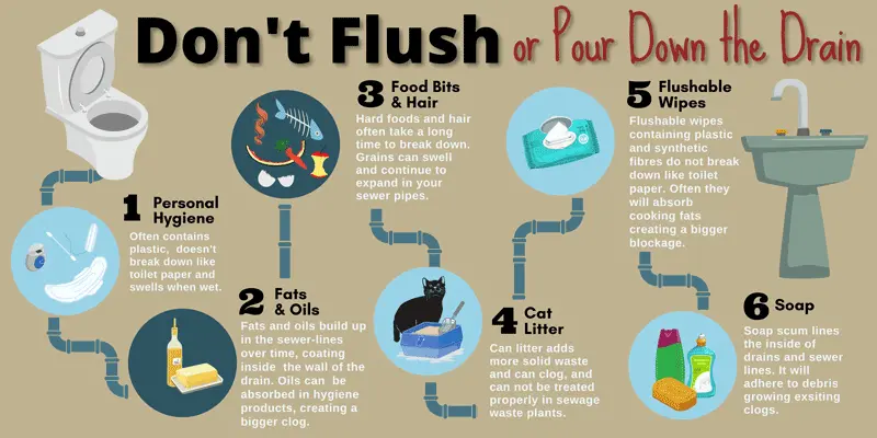 Drain Clogs Causes